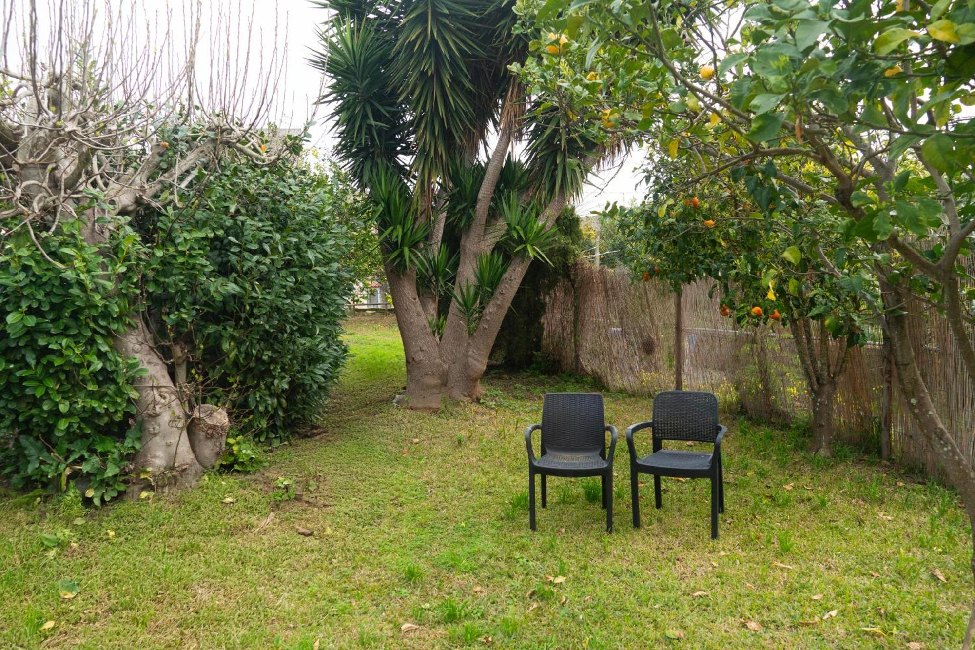 La Terrazza Sul Giardino Lejlighed Procida Eksteriør billede