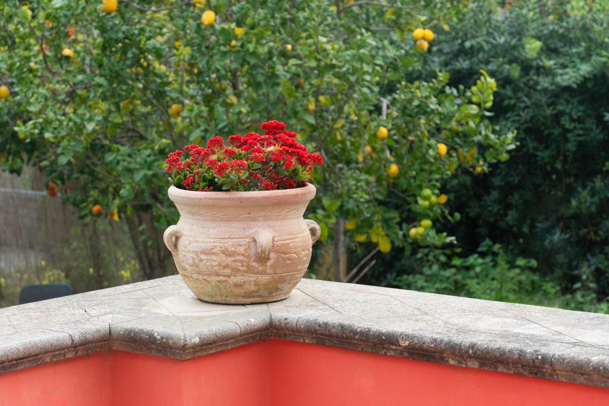 La Terrazza Sul Giardino Lejlighed Procida Eksteriør billede